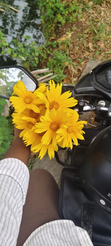 Sasi Kumar k