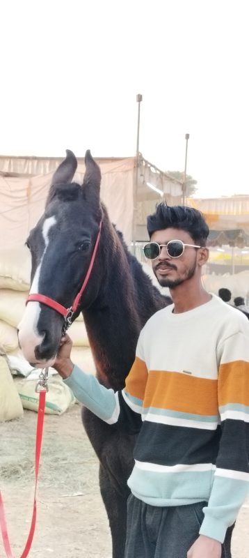 Yuvi