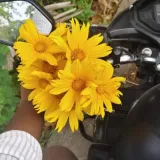 Sasi Kumar k