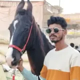 Yuvi