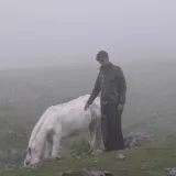 Anmol Manoj Duberiya