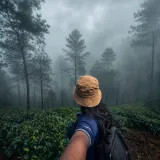 DreamyDew