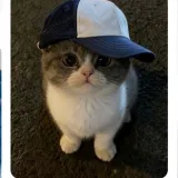 naynayy